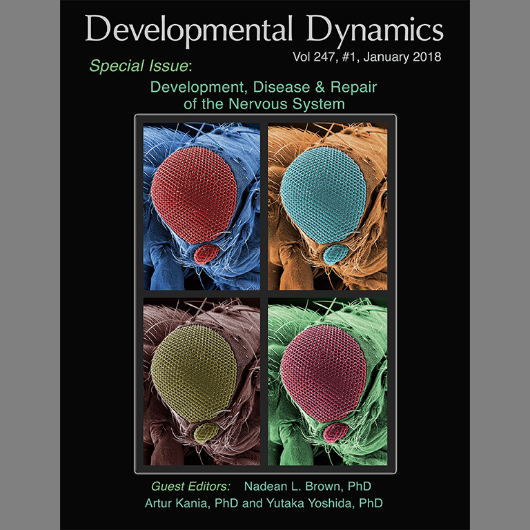 Cover of the journal Developmental Dynamics, volume 247, #1, January 2018, with a photo from IU Biology's Justin Kumar's lab.